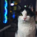 Lilbit