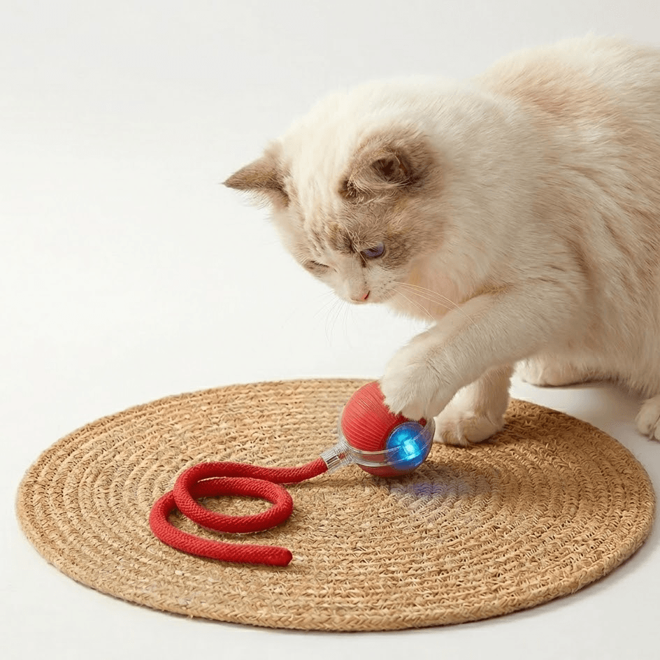 Un gato toca la pelota interactiva roja de Mizusu, con la luz azul encendida y la cola de cuerda sobre una alfombra tejida
