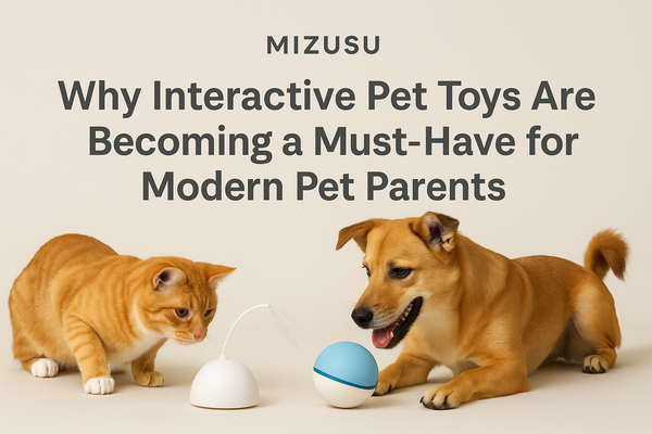 Why Interactive Pet Toys Are Becoming a Must-Have for Modern Pet Parents