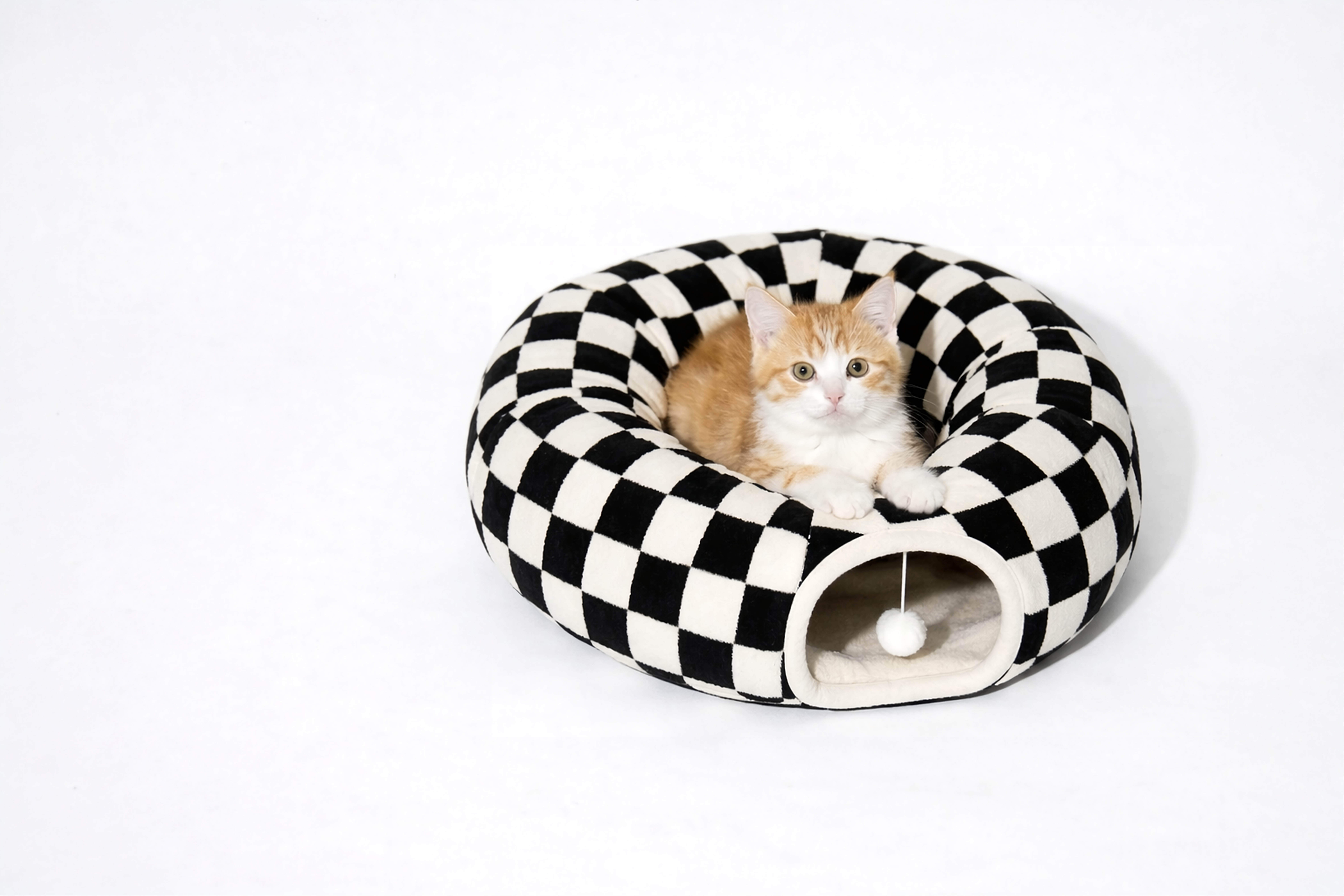 Mizusu - The Curated Companion